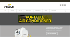 Desktop Screenshot of pelsue.com